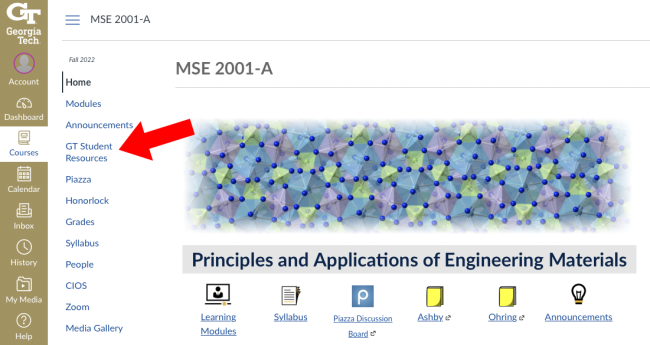 A screenshot of Georgia Tech's student success resources in the LMS